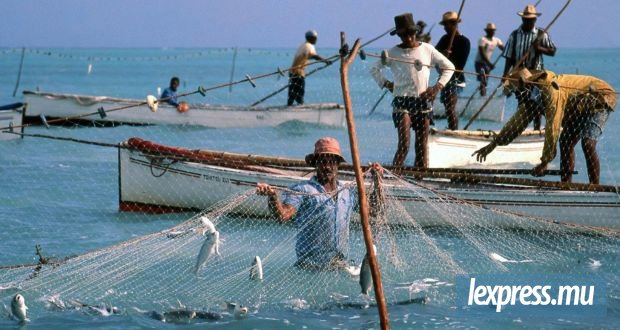 S’inspirer du Kaizen japonais pour renforcer la productivité et la résilience locales