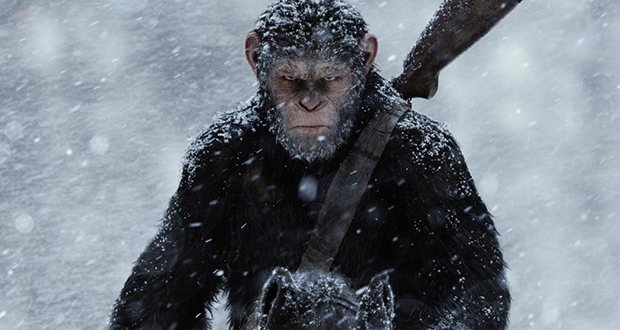 #CineSteph débarque sur la planète des singes ! 