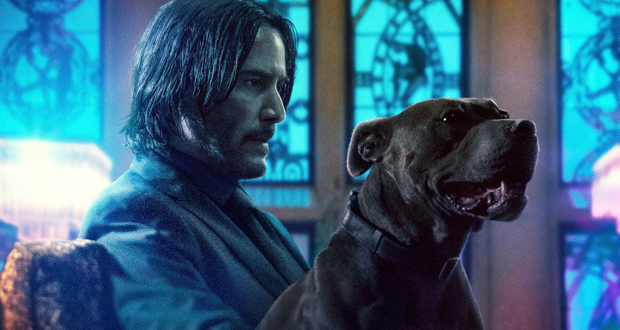 #CineSteph sort les flingues pour «John Wick Parabellum»