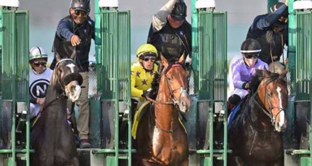 Hollywood Racing débute l’aventure mauricienne avec deux entraîneurs