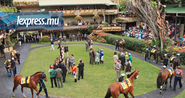 Hippisme : Entre passion et réalité financière