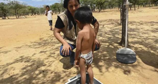 Plus d'un enfant de moins de 5 ans sur quatre vit dans une «pauvreté alimentaire sévère» (Unicef)
