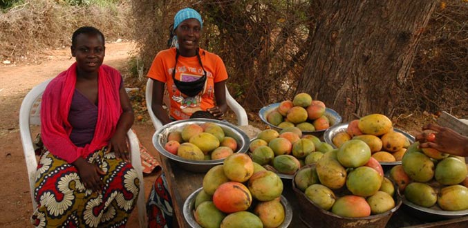 Ma découverte du Sénégal