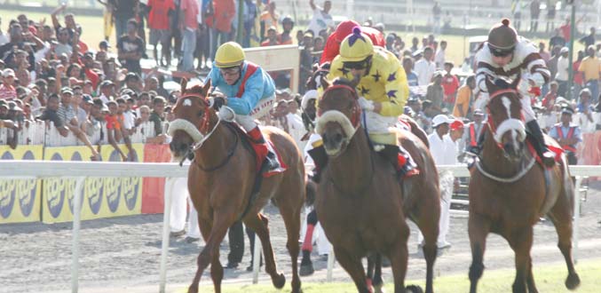 The Barbé Cup: The Cardinal coté à Rs 100 pour Rs 240 pour s’offrir sa première classique