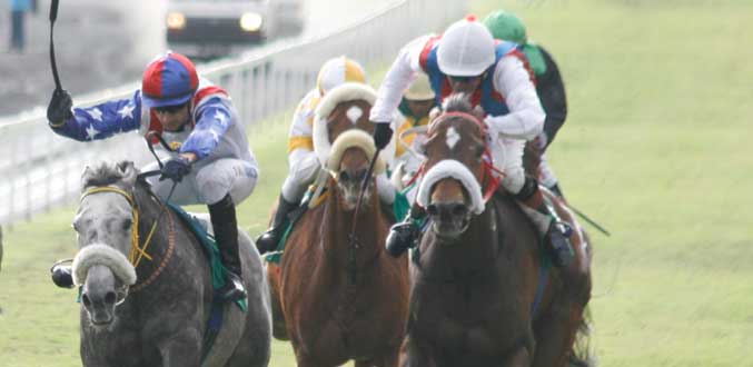 Une semaine de suspension et Rs 80 000 d’amende pour le jockey Faucon