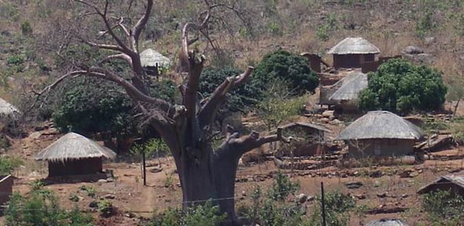 L’Etat mauricien se presse de sous-louer à bail des milliers d’hectares de terres au Mozambique