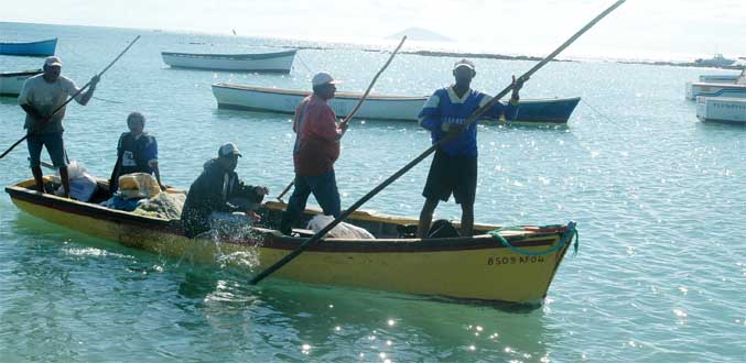 Les pêcheurs de l’île remontés contre les projets de développement dans les lagons