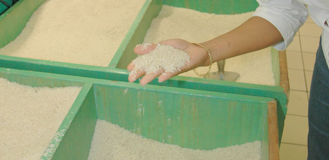 Consommation: le prix du riz risque de flamber à partir de janvier prochain
