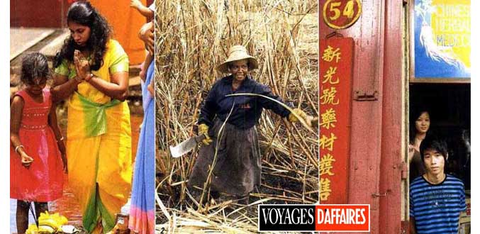 L’île Maurice multiculturelle dans « Voyages d’Affaires »