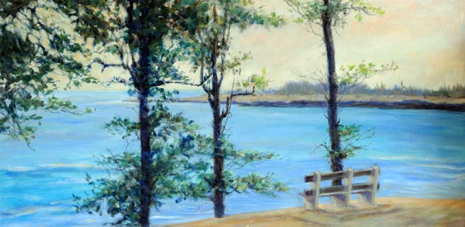 Rencontre : Maxime Boudan, sage des paysages