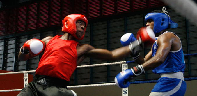 Championnats du Commonwealth : Maurice prête pour le défi indien