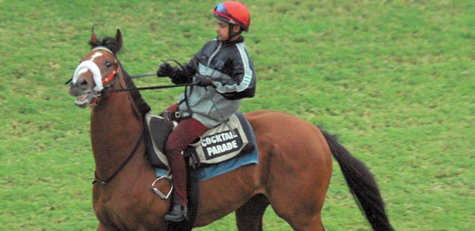 6e journée : Six nouveaux chevaux figurent dans les entrées