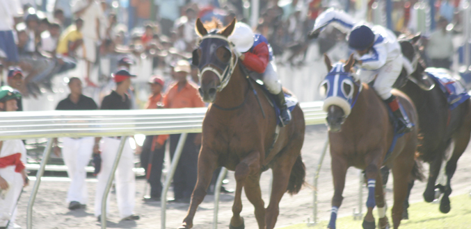 Hippisme : Capitaine de l’écurie Maingard justifie sa cote de favori