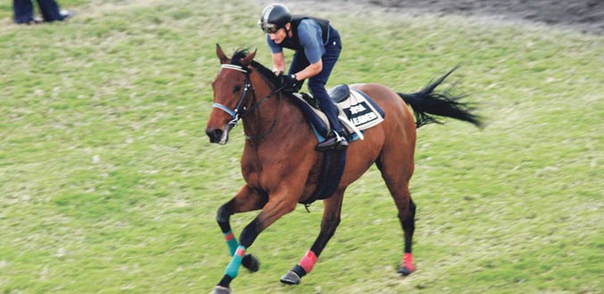 Duchess of York Cup : Disa Leader vise à faire tomber Space Captain