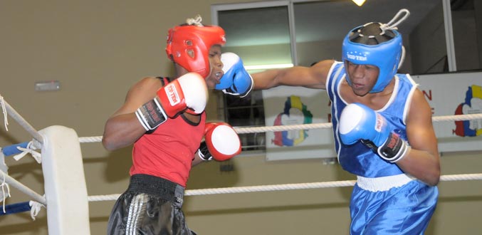 Boxe: La CJSOI en point de mire