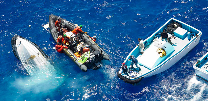 Greenpeace dénonce une attaque en mer par des thoniers
