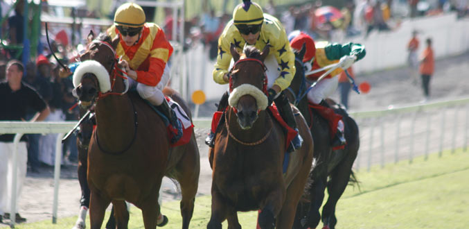 L’écurie Fok offre la monte de The Cardinal au jockey Hatt