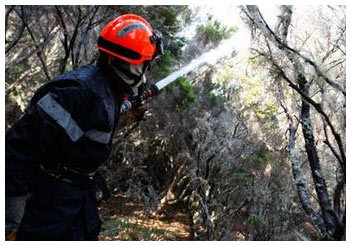 La Réunion : Un incendie ravage la forêt de Maido