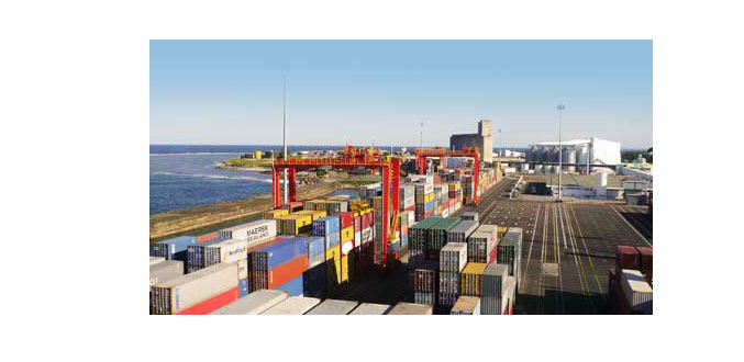 Madagascar : renforcer la lutte contre les importations sauvages