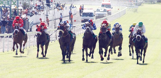 Count Me In et Royal Ransom les ‘best bets’ de la journée