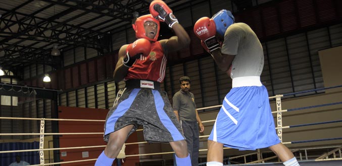 Boxe : Stage -  Les Mauriciens à la hauteur