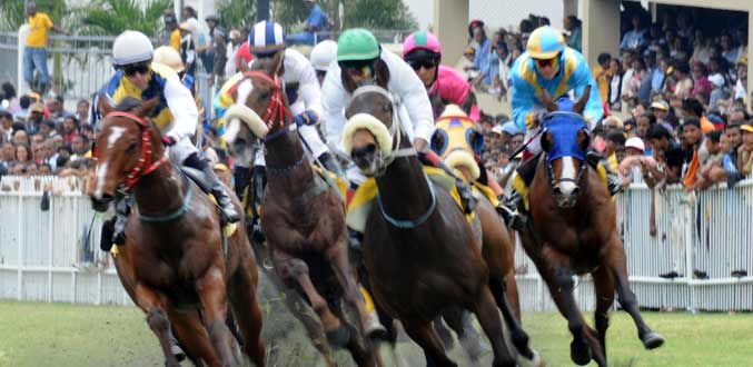 Hippisme – Saison 2011 :Les Grandes Manoeuvres