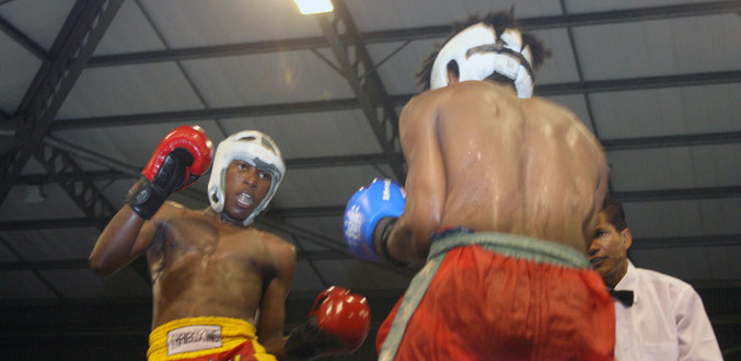Kick-boxing :  Un sans-faute pour les Mauriciens
