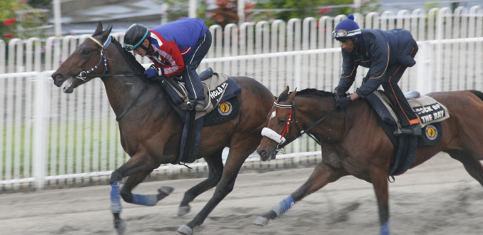 Hippisme – Saison 2011 : Les entrées de la premières journée sont officielles