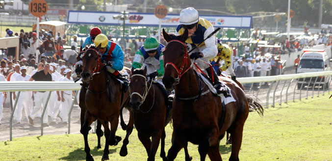 Hippisme – Faute de partants, le MTC annule l’épreuve de l’élite