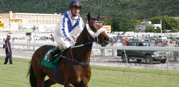 Le jockey Herholdt écope d’une suspension de deux semaines