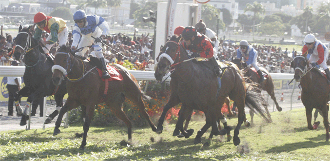 Hippisme : Prince Paseo, le Roi du 1000m !