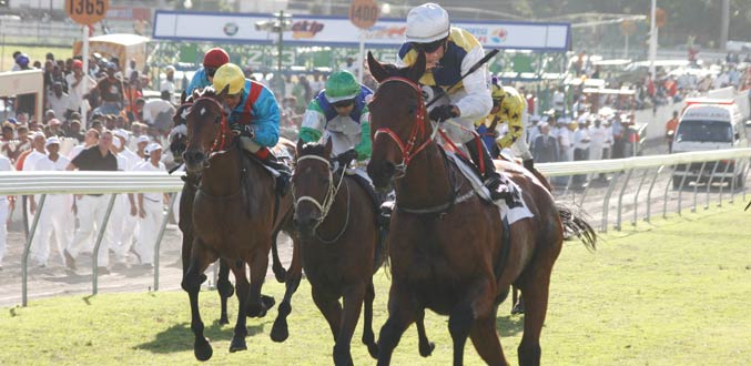 Hippisme : Les entrées du Barbé officielles