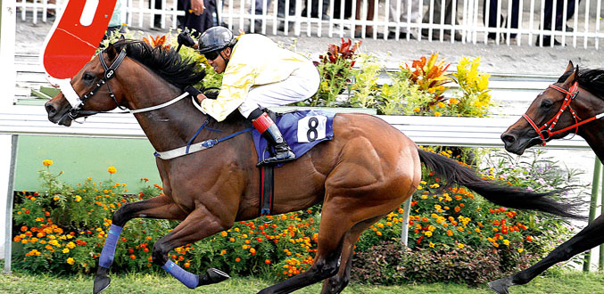 Hippisme : Encore du changement chez l’écurie Foo Kune