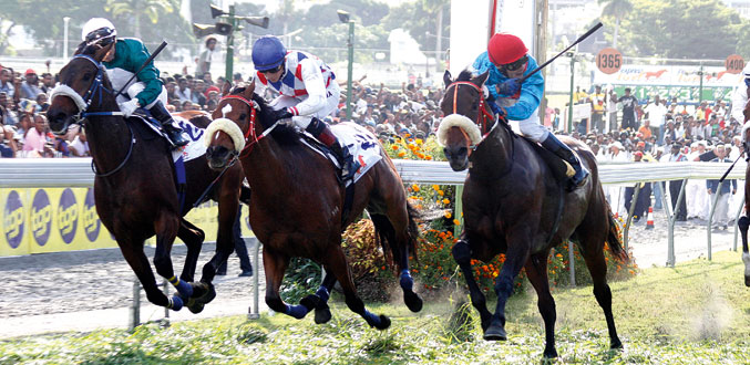 Hippisme : Duel électrique entre Acuppa et Intercontinental