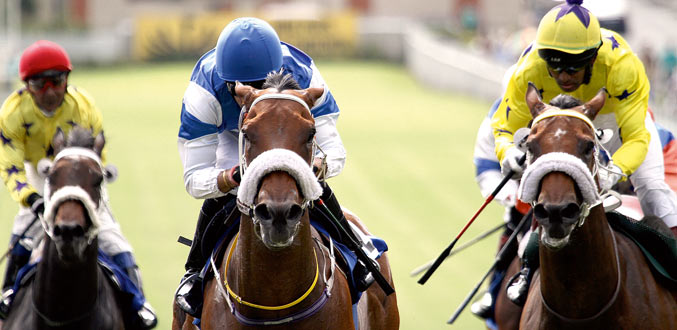 Hippisme : Le MTC prévoit un week-end de haute facture