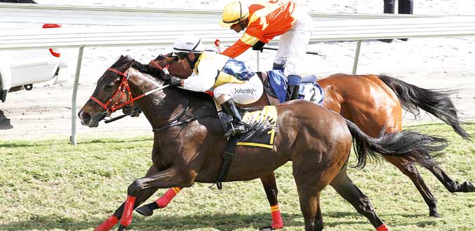 Hippisme : Rousset en force avec Green Keeper et Intercontinental