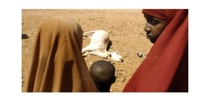 Famine : 41 tonnes d''aide alimentaire partent pour Nairobi