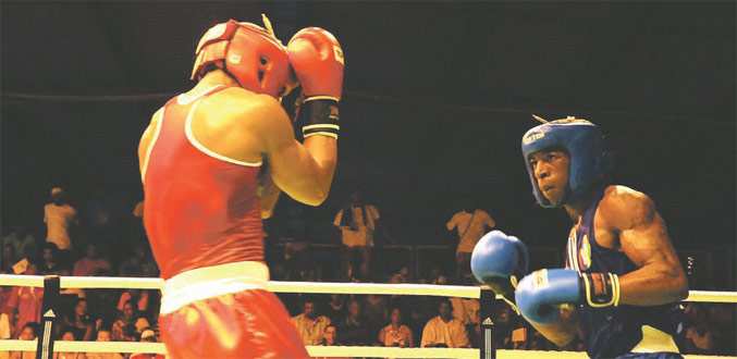 Boxe : L’or pour refermer la plaie