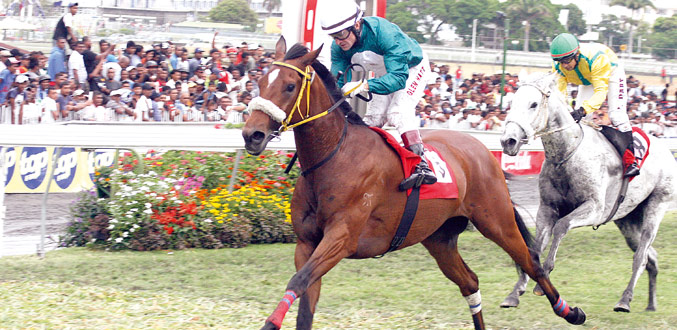 Hippisme : Seattle Ice vise une première victoire classique dans le Maiden