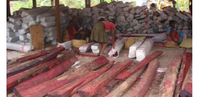 Madagascar : 110 opérateurs déclarent leur stock de bois de rose
