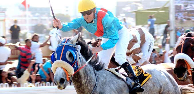 Hippisme : La ruée vers l’or (2e partie)