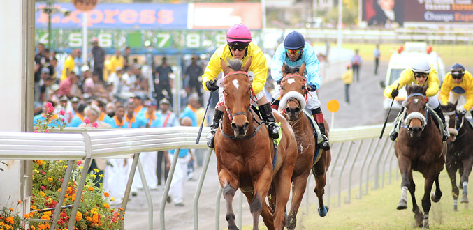 Hippisme : Captain Thriller hérite du 1er couloir !