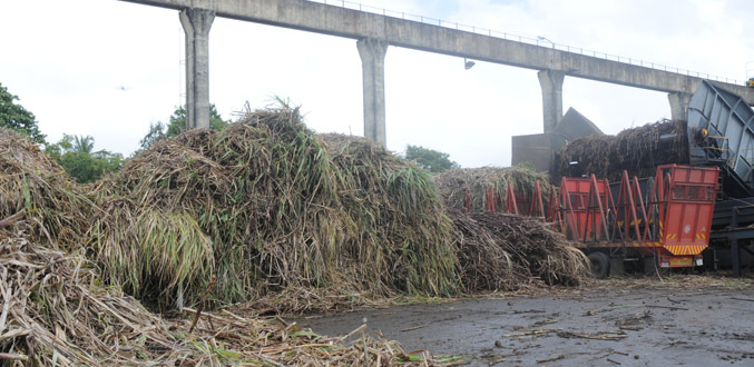 La vente d’actions de Deep River Investment suspendue à l’avis de la FSC et de la MCCI