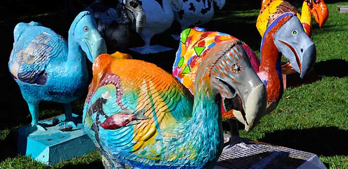 Les dodos auraient disparu il y a 4 200 ans suite à une forte sécheresse