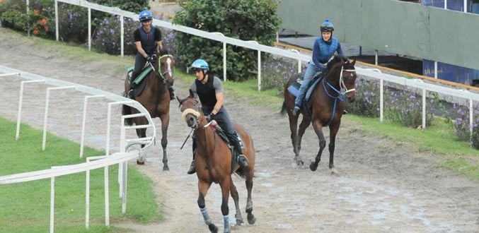 L’entraînement au ralenti mardi matin en raison d’une piste exécrable