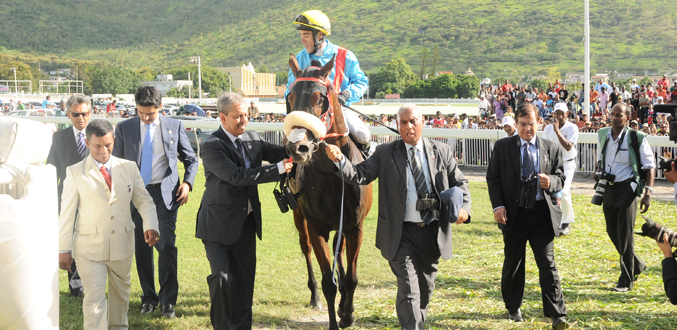 Hippisme : Retour en piste d’Il Saggiatore