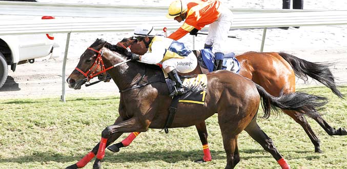 Green Keeper le cheval à battre dans le Gr.2 de ce samedi