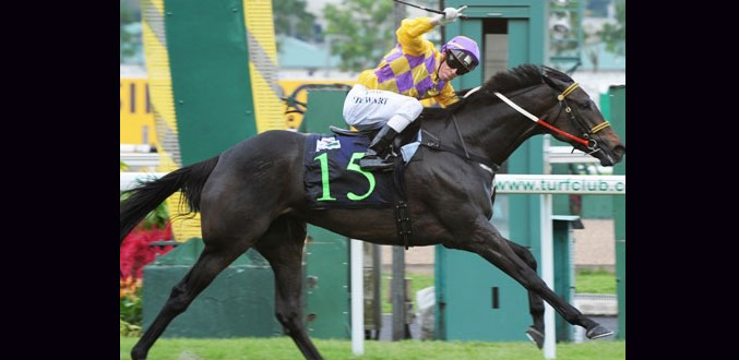 Le jockey Stewart présent à l’entraînement ce matin