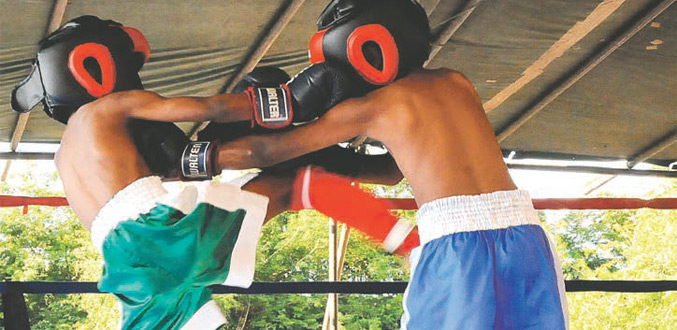 Kick-boxing : Le K-1 privilégié pour préparer les Championnats d’Afrique