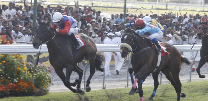 Hippisme – 21e journée: Solar Captain monte en puissance